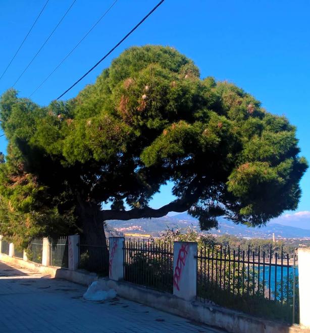 Εικόνα