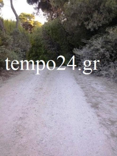 pefko_tempo24.gr__0.jpg