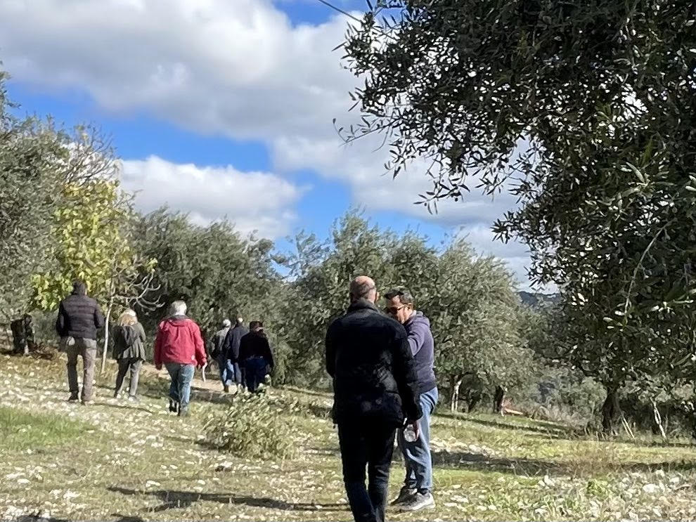 Κλιμάκια του ΕΛΓΑ και του Δήμου Ζαχάρως έκαναν αυτοψία στις πληγείσες από χαλάζι περιοχές