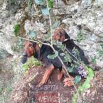 ΚΑΛΑΒΥΤΑ: Εντυπωσιακή επιχείρηση διάσωσης δύο κυνηγετικών σκύλων – Πως βρέθηκαν σε πλαγιά 70 μέτρων! ΦΩΤΟ
