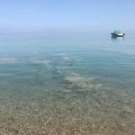 Δυτική Αχαΐα: "Μαύρισε" πάλι η θάλασσα - ΦΩΤΟ