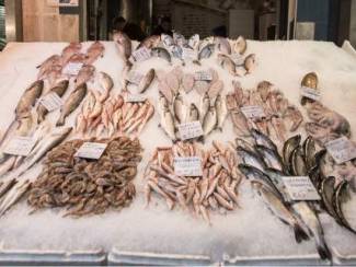 Τα Μεσογειακά κράτη της ΕΕ - Κροατία, Γαλλία, Ελλάδα, Ιταλία, Σλοβενία, Ισπανία και Πορτογαλία - τα οποία αναλύονται στη νέα έκθεση του WWF, Seafood and the Mediterranean: local tastes, global markets (Θαλασσινά και Μεσόγειος: τοπικές προτιμήσεις, παγκόσμιες αγορές), συγκαταλέγονται στους μεγαλύτερους καταναλωτές ψαρικών παγκοσμίως. Η περιοχή έχει ετήσια μέση κατανάλωση 33,4 κιλών ψαρικών κατ’ άτομο, τη στιγμή που ο μέσος όρος της ΕΕ είναι 22,9 κιλά και ο διεθνής μέσος όρος 19,2 κιλά. Αναφορικά με την Ελλάδ