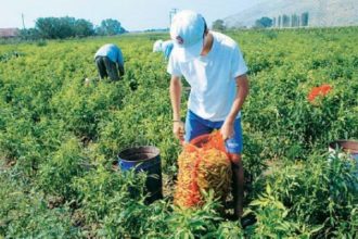Δυτ. Ελλάδα: Ολοκληρωμένη διαχείριση καλλιεργειών