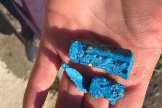 Πάτρα: ΦΡΙΚΗ - Επιχείρησαν να θανατώσουν αδέσποτα με αυτό το δηλητήριο! ΠΡΟΣΟΧΗ ΣΚΛΗΡΕΣ ΕΙΚΟΝΕΣ - ΔΕΙΤΕ ΒΙΝΤΕΟ και ΦΩΤΟΓΡΑΦΙΕΣ