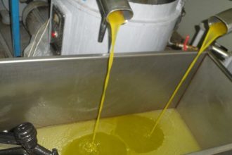 Αχαΐα: Φόρτωσαν εκατοντάδες κιλά λάδι, αλλά τους πήραν στο κυνήγι Αστυνομία και ο... Πρόεδρος της Κοινότητας!