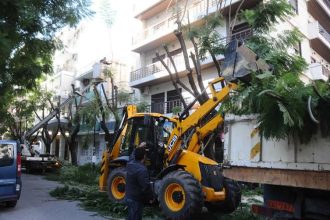 Πάτρα: Κλάδεμα δένδρων σήμερα στην Παναχαϊκού