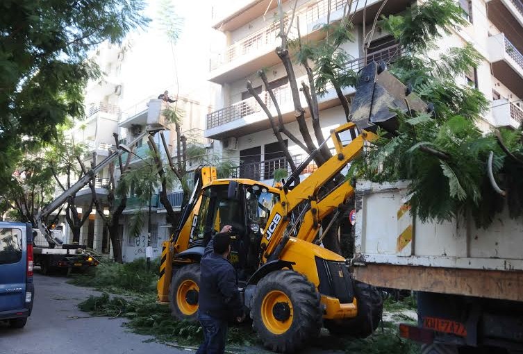 Πάτρα: Κλάδεμα δένδρων σήμερα στην Παναχαϊκού