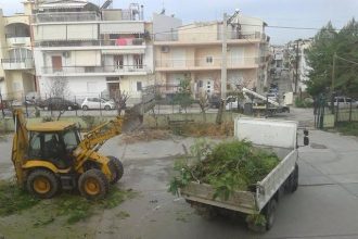 Πάτρα: Ευχαριστίες στο Δήμο για το κλάδεμα των δένδρων στο 60ο Δημοτικό Σχολείο το 42ο και 57ο Νηπιαγωγεία