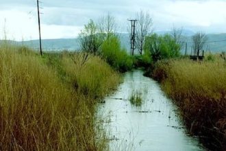 Bρέθηκε νεκρός σε αρδευτικό κανάλι - ΔΕΙΤΕ ΒΙΝΤΕΟ