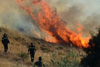 Δυτική Ελλάδα: Συναγερμός στην Πυροσβεστική για πυρκαγιά σε δασική έκταση - Κοντά στην περιοχή Άσπρα Σπίτια στην Αρχαία Ολυμπία (ΝΕΟΤΕΡΑ)