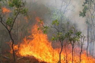 Πάτρα - Τώρα: Φωτιά στα Συχαινά - Συναγερμός στην πυροσβεστική - ΝΕΟΤΕΡΑ