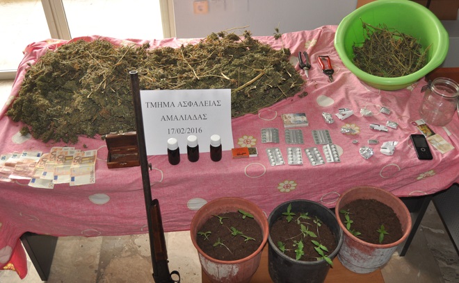 Ηλεία: Καλλιεργούσε κάνναβη στις γλάστρες της αυλής του - Στη "φάκα" 39χρονος