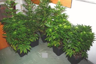 Εξαρθρώθηκε εγκληματική ομάδα - Συμμετείχαν συστηματικά σε επεισόδια - ΔΕΙΤΕ ΦΩΤΟΓΡΑΦΙΕΣ