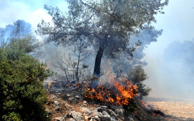 Νέα φωτιά ξέσπασε το μεσημέρι στη Δυτική Μάνη