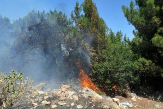 Υπό έλεγχο τίθεται η φωτιά στην ορεινή Τριφυλία