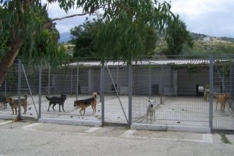 Παρέμβαση Κοινο_Τοπίας και Πολιτών Εν Δράσει για την παύση λειτουργίας του Σταθμού Μέριμνας Ζώων