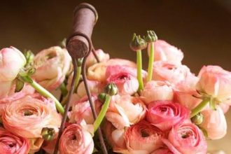 Φέρτε την Άνοιξη