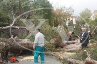 Θυελλώδεις άνεμοι σαρώνουν τα Χανιά - Ενας 64χρονος νεκρός, ένας τραυματίας, έκλεισαν τα σχολεία