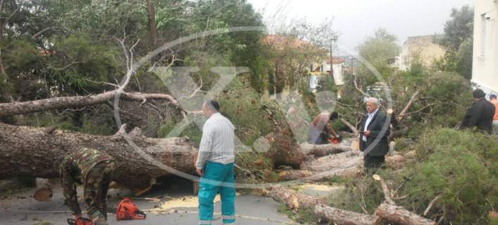 Θυελλώδεις άνεμοι σαρώνουν τα Χανιά - Ενας 64χρονος νεκρός, ένας τραυματίας, έκλεισαν τα σχολεία