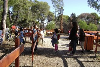 Δυτική Ελλάδα: Έναρξη αιτήσεων για τις παιδικές κατασκηνώσεις του ΟΑΕΔ