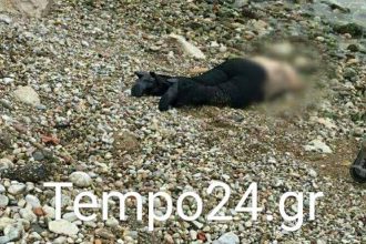 Πάτρα: Πτώμα γυναίκας στην περιοχή της Πλαζ - ΝΕΟΤΕΡΕΣ ΠΛΗΡΟΦΟΡΙΕΣ - ΠΡΟΣΟΧΗ ΣΚΛΗΡΕΣ ΕΙΚΟΝΕΣ