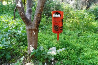 Πάτρα: Εγκατάλειψη στο Σκαγιοπούλειο - "Ξήλωσαν" την περίφραξη, σκουπίδια παντού, κίνδυνοι για τα παιδιά - ΦΩΤΟΓΡΑΦΙΕΣ