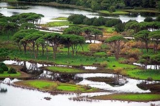 Αχαΐα: Εφαρμογή διαδικτυακής περιήγησης και παρακολούθησης του Εθνικού Πάρκου Υγροτόπων Κοτυχίου-Στροφυλιάς