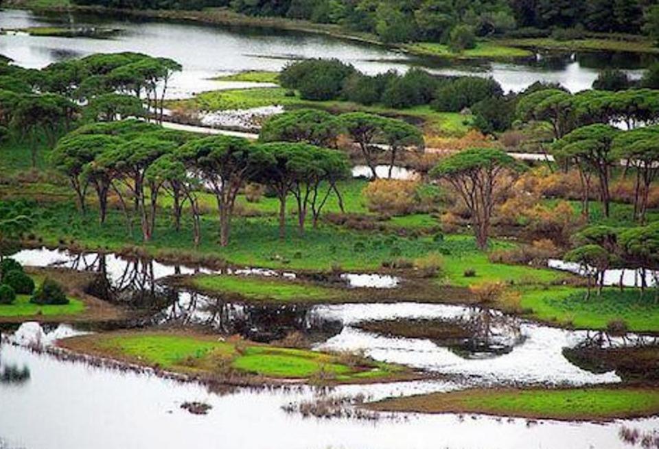 Αχαΐα: Εφαρμογή διαδικτυακής περιήγησης και παρακολούθησης του Εθνικού Πάρκου Υγροτόπων Κοτυχίου-Στροφυλιάς