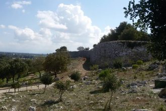 Τοποθέτηση τεχνητών φωλιών για Κιρκινέζια στα Λεχαινά