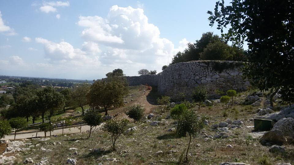 Τοποθέτηση τεχνητών φωλιών για Κιρκινέζια στα Λεχαινά
