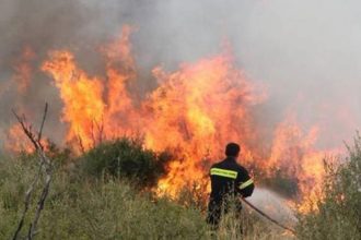 Πυρκαγιά στα Δερβενάκια Αργολίδας