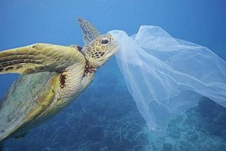 Τα 4 ελληνικά νησιά που λένε «όχι» στις πλαστικές σακούλες