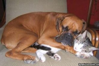 Οταν...οι εχθροί γίνονται φίλοι