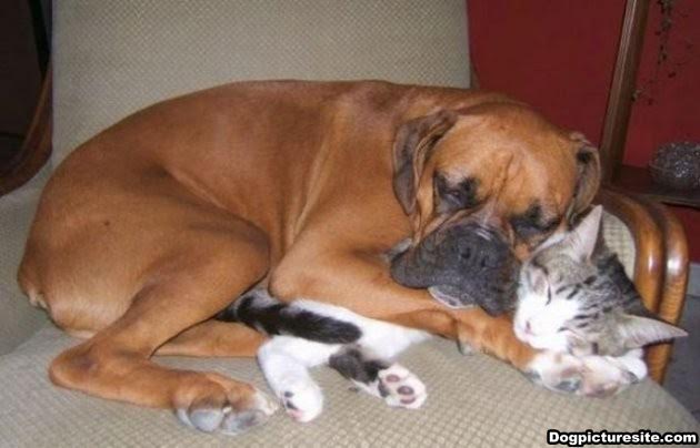 Οταν...οι εχθροί γίνονται φίλοι