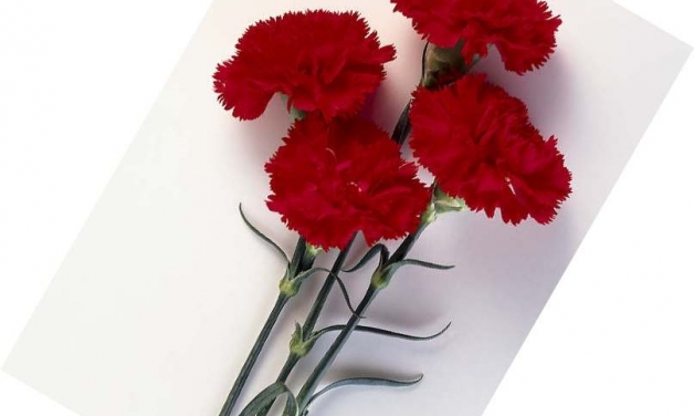 Νίκος Νικολόπουλος: Εύχομαι η Ανάσταση του Χριστού να αποτελέσει φωτεινό οδηγό για τη ζωή όλων μας, να χτίσουμε την νέα Ελλάδα που μας ταιριάζει