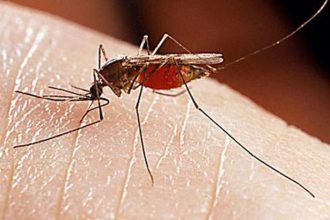 Η καταπολέμηση των κουνουπιών ξεκινά από τα hot spots