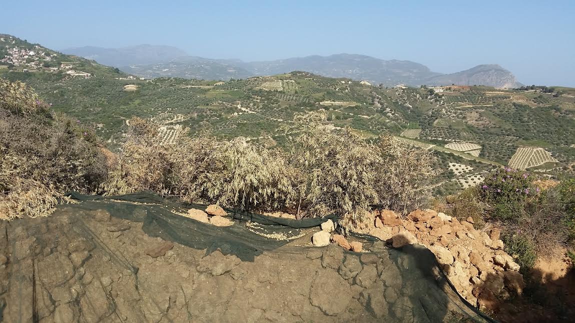 Η Ασφάλεια "τσίμπησε" λαθρανασκαφείς - Αστυνομική επιχείρηση σε Πάτρα και Ξυλόκαστρο- ΔΕΙΤΕ ΦΩΤΟΓΡΑΦΙΕΣ