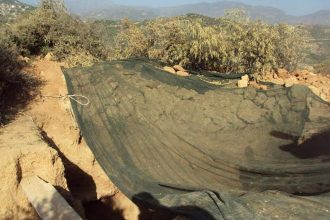 Πατρινός επιχειρηματίας ο "εγκέφαλος" της σπείρας αρχαιοκάπηλων που συνελήφθησαν στην Κόρινθο - Κρίθηκε προφυλακιστέος - ΦΩΤΟΓΡΑΦΙΕΣ