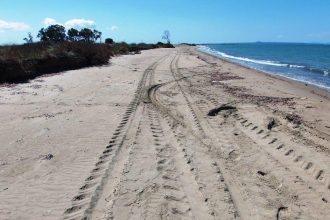 «Όχι τροχοφόρα στους αμμόλοφους της Στροφυλιάς» – Έκκληση του Φορέα Διαχείρισης για προστασία του σπάνιου οικοσυστήματος!