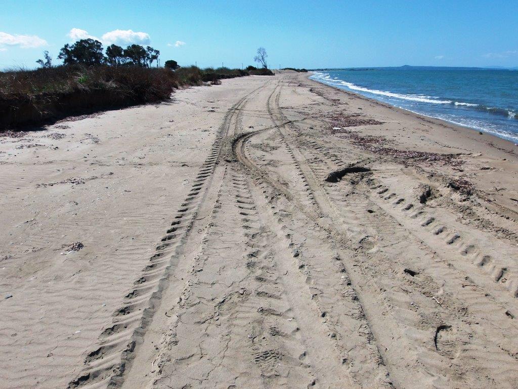 «Όχι τροχοφόρα στους αμμόλοφους της Στροφυλιάς» – Έκκληση του Φορέα Διαχείρισης για προστασία του σπάνιου οικοσυστήματος!
