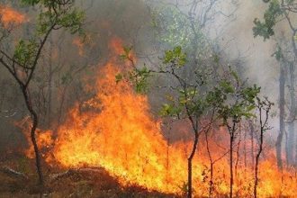 Αχαΐα: Ούτε ευρώ στα Τμήματα Πολιτικής Προστασίας των Δήμων ενόψει της αντιπυρικής περιόδου - Στα χαρτιά ο σχεδιασμός