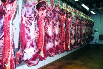 Λιγότερα αρνιά το Πάσχα, δεν πωλούν κάτω από 6 ευρώ to κιλό οι κτηνοτρόφοι