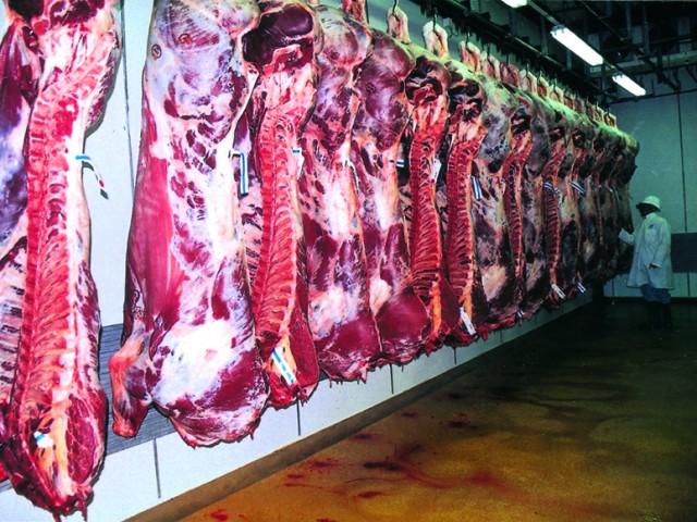 Λιγότερα αρνιά το Πάσχα, δεν πωλούν κάτω από 6 ευρώ to κιλό οι κτηνοτρόφοι