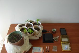 Πύργος: Συνελήφθη 43χρονος καλλιέργεια και κατοχή ναρκωτικών