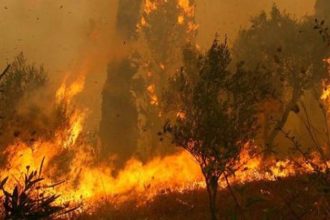Στο επόμενο Περιφερειακό Συμβούλιο το Σχέδιο αντιμετώπισης έκτακτων αναγκών εξαιτίας δασικών πυρκαγιών