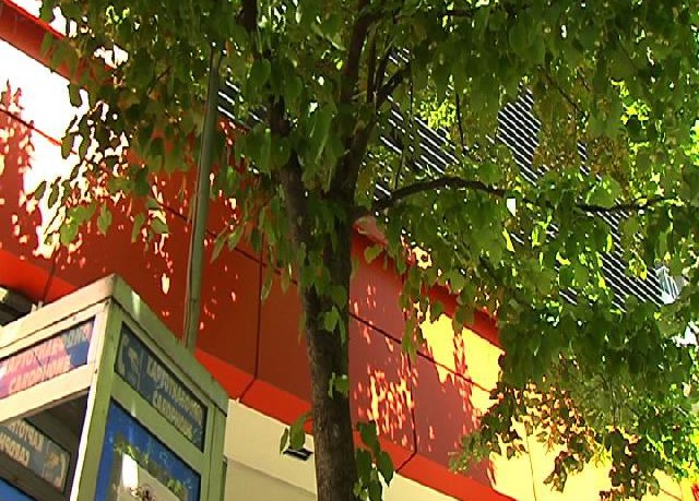 Ήταν νηστικός πέντε μέρες και κρεμάστηκε στο κέντρο της Λάρισας - ΔΕΙΤΕ ΒΙΝΤΕΟ