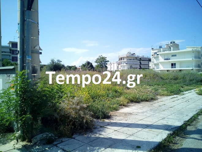 Πάτρα: Χορτάρια σαν... δέντρα σε πλατεία υπό διαμόρφωση, εδώ και... 20 χρόνια! - Οι κάτοικοι καταγγέλλουν αδιαφορία από το Δήμο ΔΕΙΤΕ ΦΩΤΟΓΡΑΦΙΕΣ