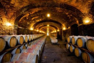 Πρόγραμμα για τον Οινοτουρισμό στην Αιγιάλεια