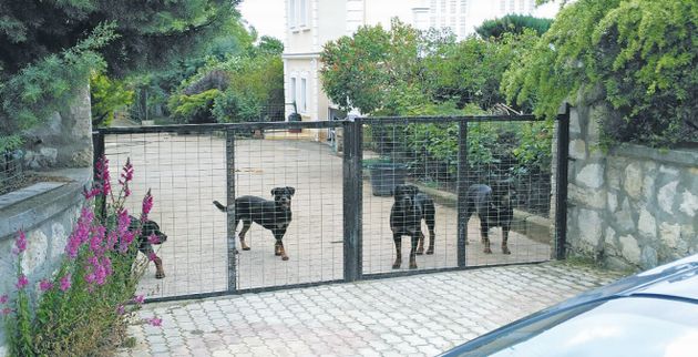 Κοζάνη: Επικίνδυνα τα ροτβάιλερ που σκότωσαν τον 5χρονο λέει η επιστημονική επιτροπή