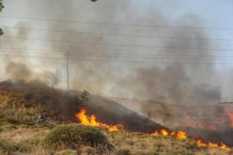 Αχαΐα: Απαγορεύεται η καύση αγροτικών εκτάσεων
